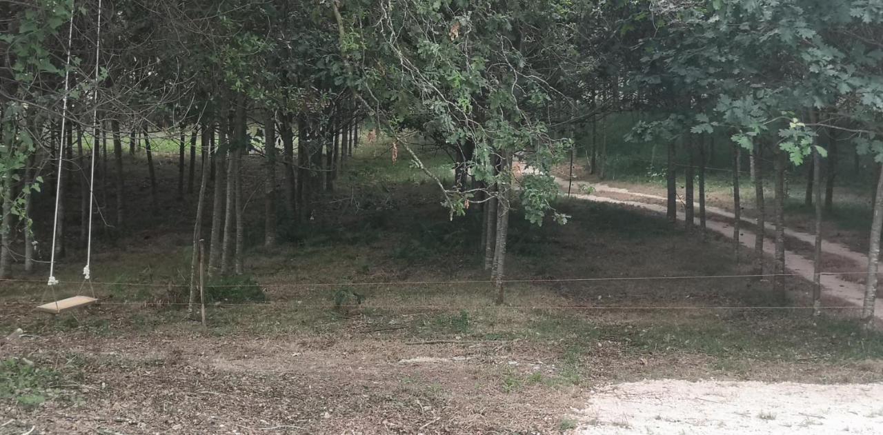 Quinta Do Soldado Villa Albergaria-a-Velha Bagian luar foto
