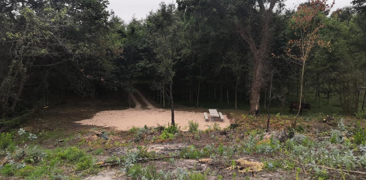 Quinta Do Soldado Villa Albergaria-a-Velha Bagian luar foto