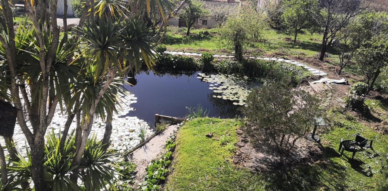 Quinta Do Soldado Villa Albergaria-a-Velha Bagian luar foto