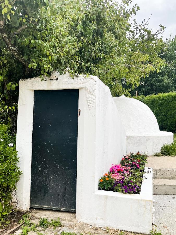 Quinta Do Soldado Villa Albergaria-a-Velha Bagian luar foto