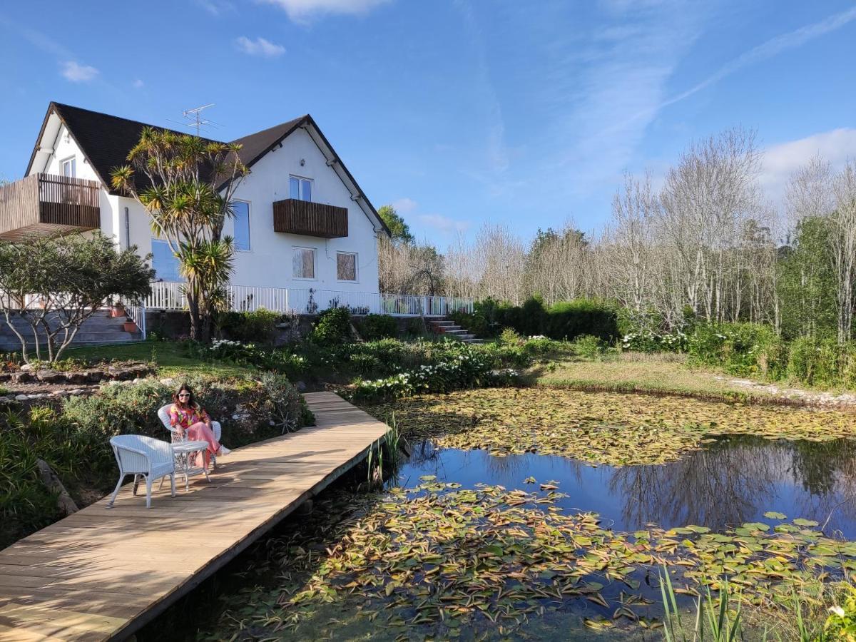 Quinta Do Soldado Villa Albergaria-a-Velha Bagian luar foto