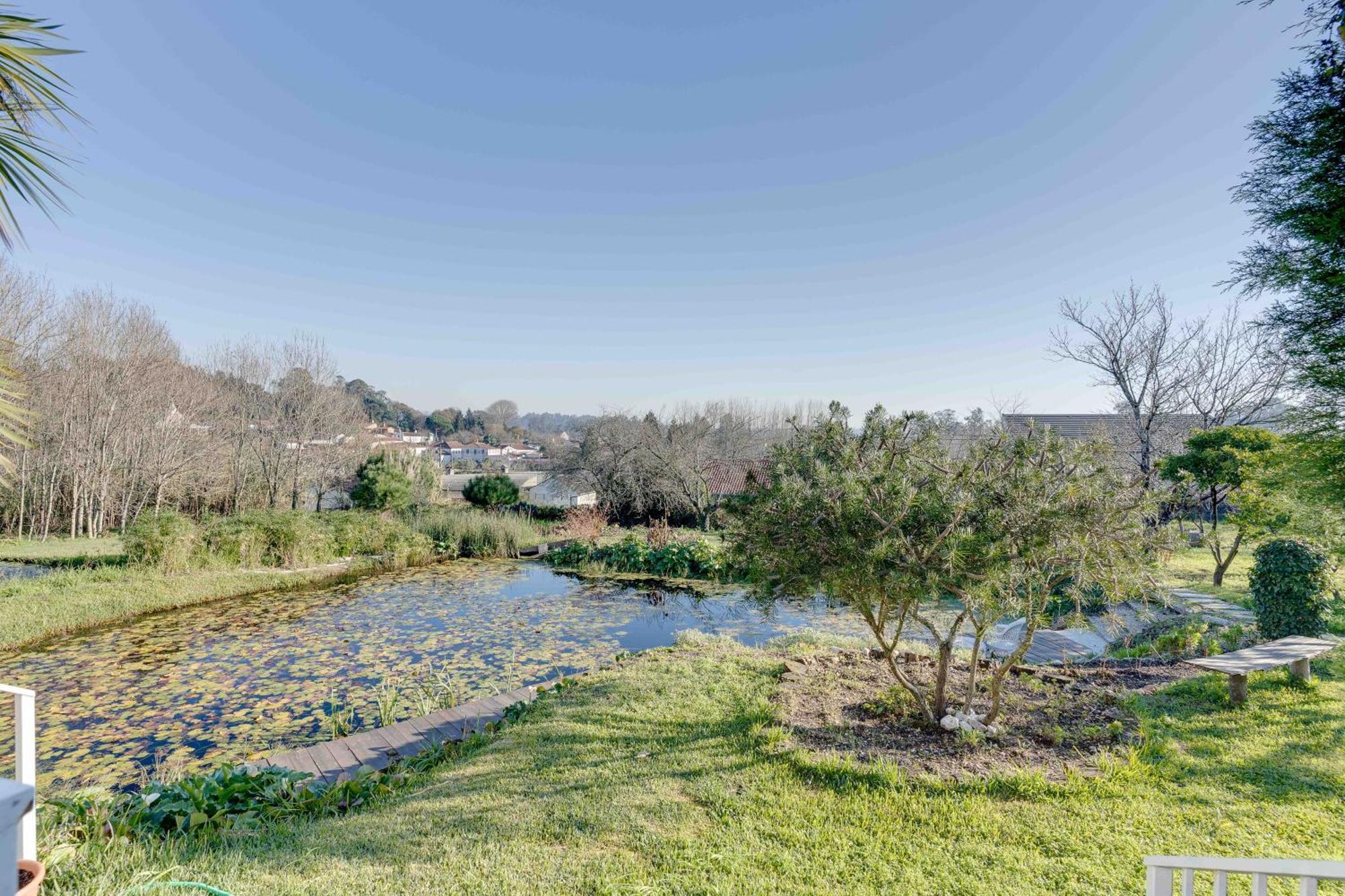 Quinta Do Soldado Villa Albergaria-a-Velha Bagian luar foto